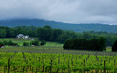 Our Perfect Family Weekend in Virginia Wine Country: Charm & Sophistication Just Outside Washington, DC