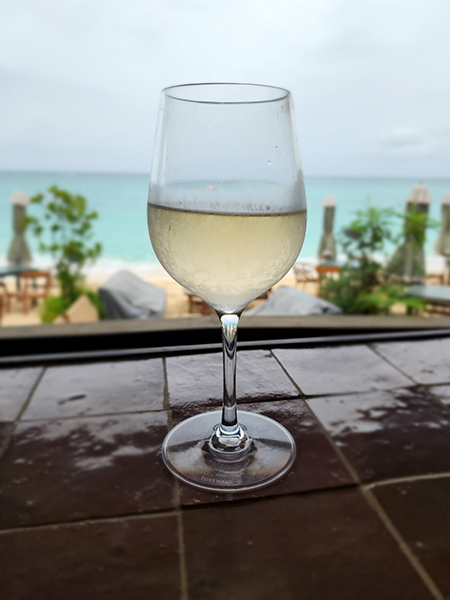 photo of a glass of wine with an ocean view behind it, taken at Bonny Moon Beach Club