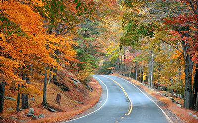 Make the most of fall: 5 top tips for fall travel