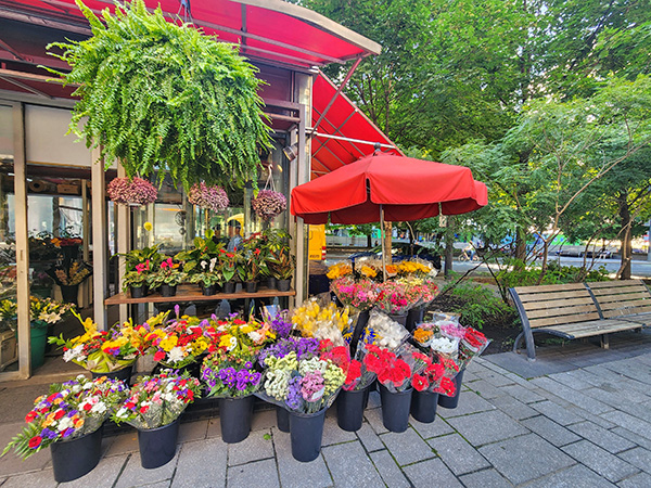 photo of flowers on streets of Montreal